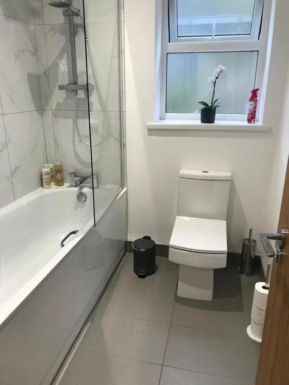 Ella Court Devon Apartment Torquay Ngoại thất bức ảnh